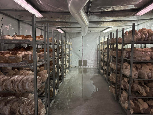 Visite de ferme 26 octobre